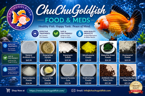 Medications for Goldfish.png