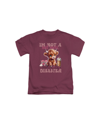 c853 I'm Not A Hot Mess, I'm A Spicy Disaster+Burgundy.jpg