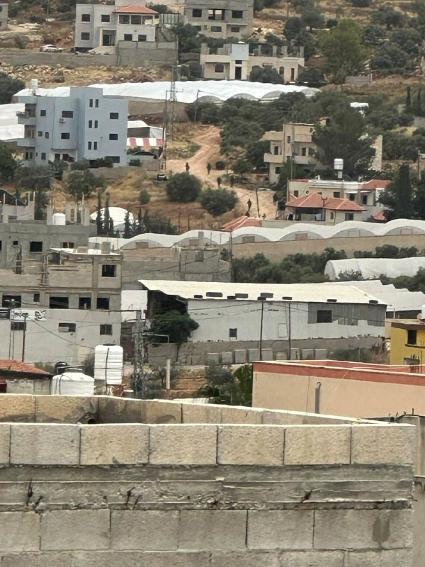 صورة الخبر