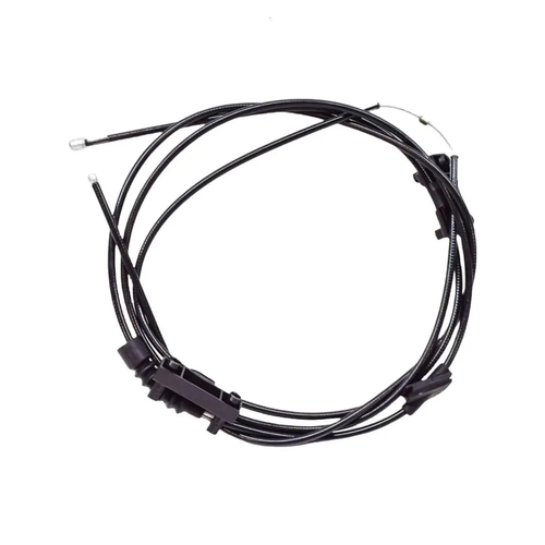 531db522c2bb.2