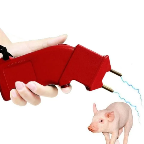 f299a76e9ebd.png