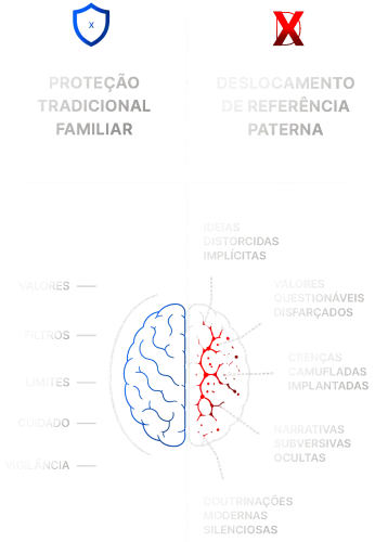 proteção externa x invação interna v3 elementor io optimized.webp