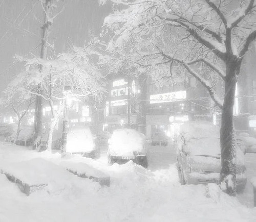 𝑺𝒉𝒂𝒓𝒆壁纸｜世界的純白色❄️ 1 东京下小雨 来自小红书网页版.jpg