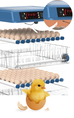 BLOCO 2.png