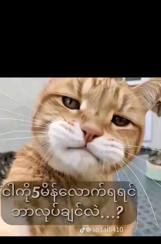 temp.png