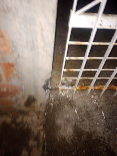 IMG 20260514 235704327.jpg
