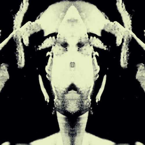 a469ed2031b9.png