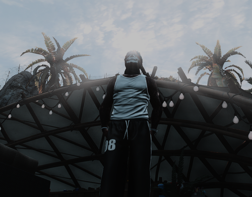 image 2026 05 14 012149793.png