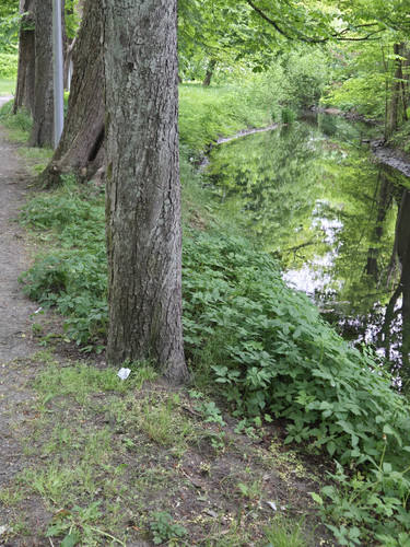 20260511 130516.jpg