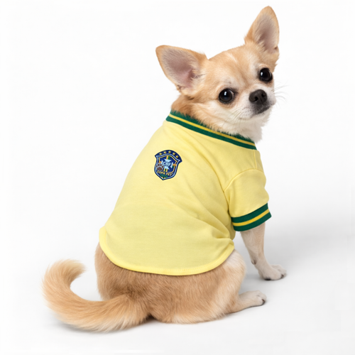 Chihuahua Brasil.png