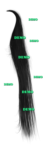 IMG 2068.png