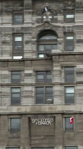 e80c16161d20.png