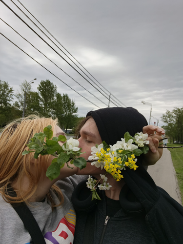 изображение 2026 05 14 222729265.png