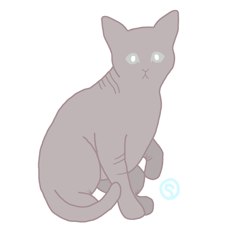3DB6E6C3 0F1E 47B2 8E23 B2563DBF7A56.png