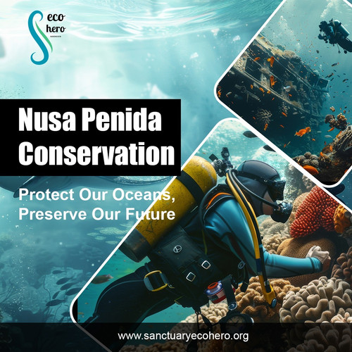 Nusa Penida Conservation.jpg