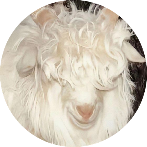 a20cbb57790d.png