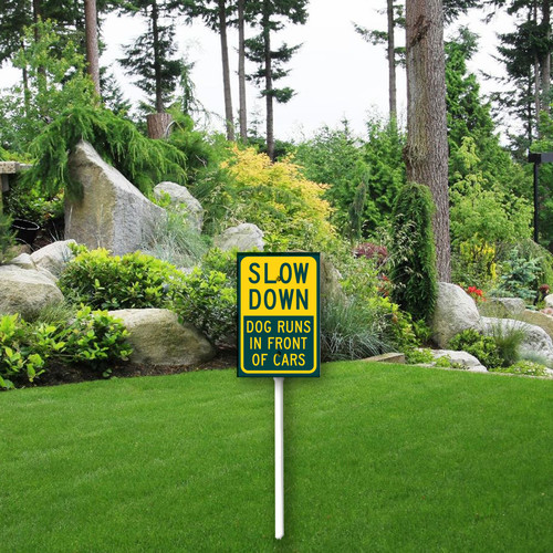 Slow down dog runs in front of cars 3.jpg