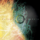 08a3713fd268.png