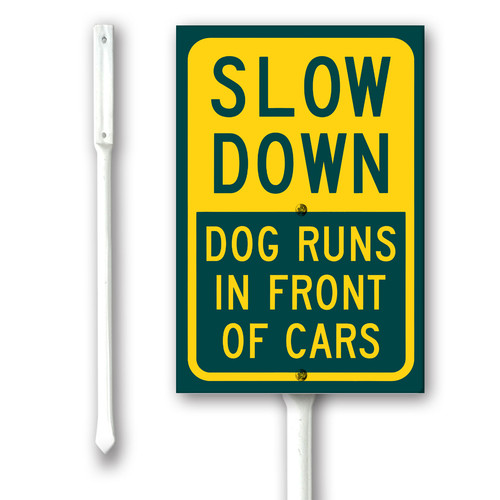 Slow down dog runs in front of cars.jpg