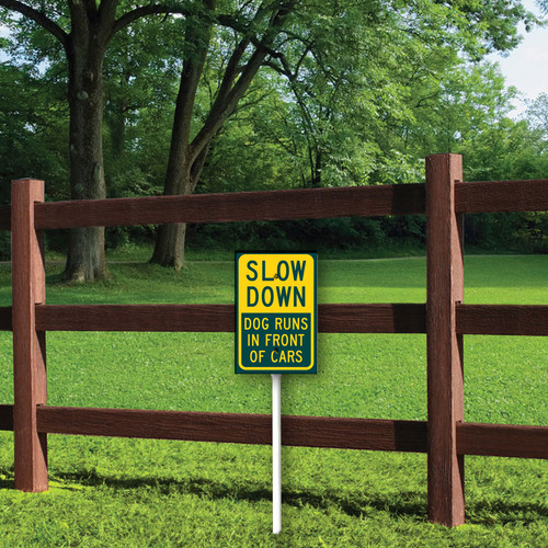 Slow down dog runs in front of cars 1.jpg