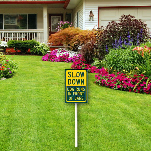 Slow down dog runs in front of cars 4.jpg