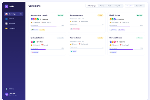selio brand campaign dashboard.png