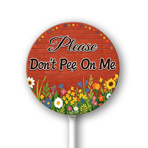 P6.png