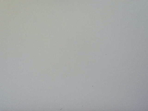145631371.jpg