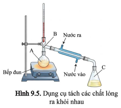 Acrobat Ipr8nhBUyh.png