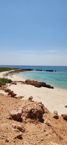 Arabian Sea Escape: Muscat Boat Experience.jpg