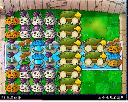 1000168556.jpg
