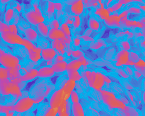 temp.png
