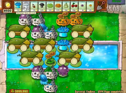 1000168544.jpg