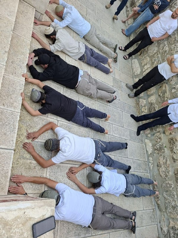 صورة الخبر