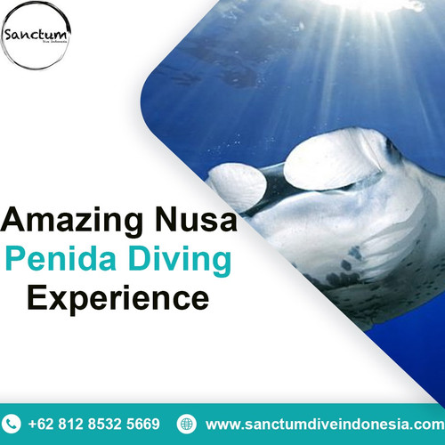 Amazing Nusa Penida Diving Experience.jpg