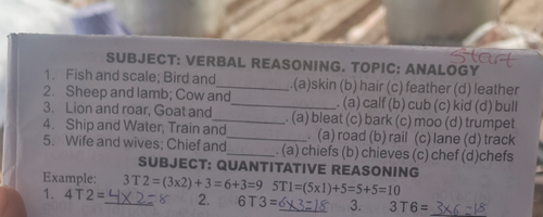 temp.png