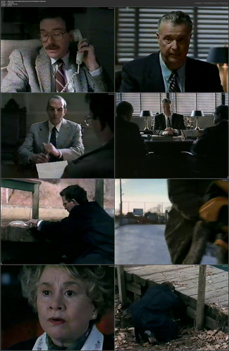 Aldrich.Ames.Traitor.Within.1998.German.AC3D.TVM.VHSRip.AVC bobbel.mkv.jpg