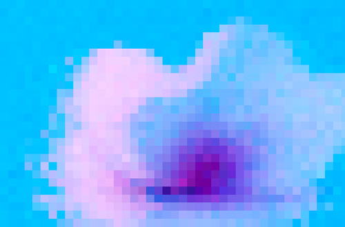 download (1).png