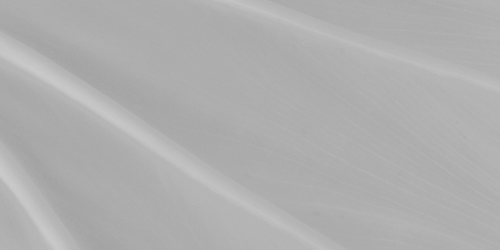 temp.png