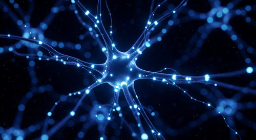 Bioluminescent neural network vi… 202605150140.jpg