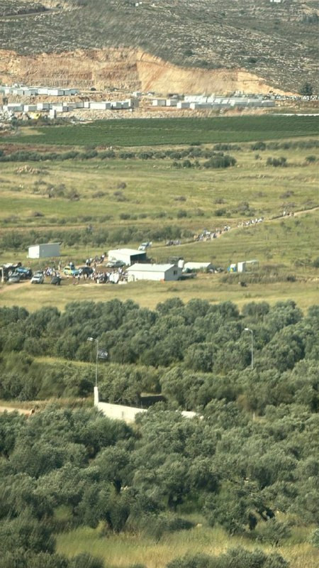 صورة الخبر