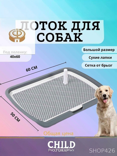 6b6bf78ef85b.jpg