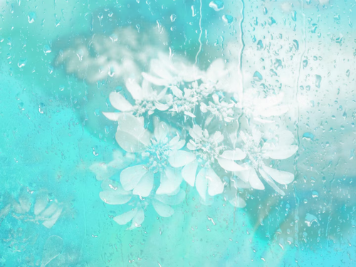 pic 20260514225155 0.png