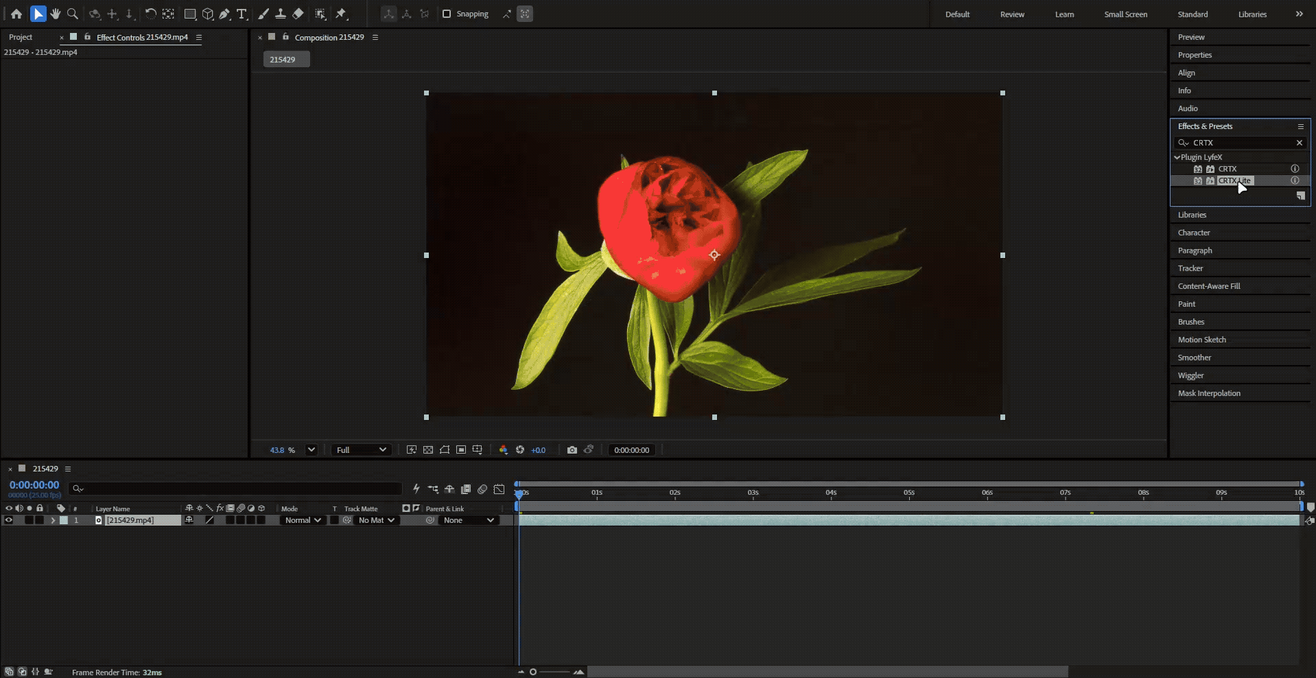 CRTX Lite workflow