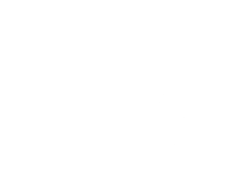 SETA BAIXO.png