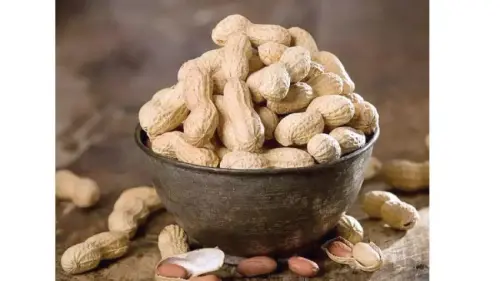 badam.webp