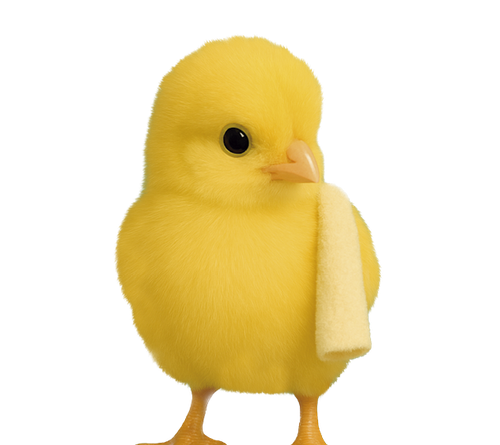 PINTINHO.png
