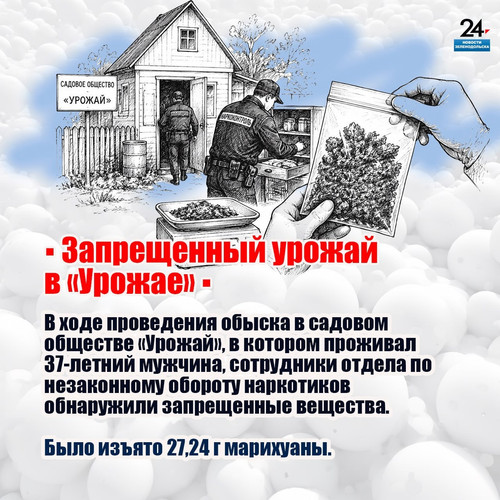 resized eddb4406 7cdd 4a30 9b54 c373a49ac147.jpg