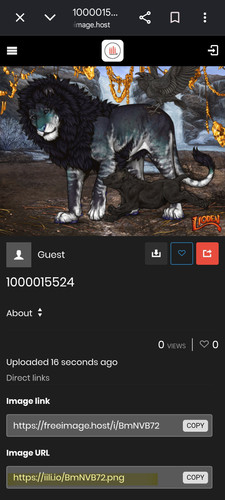 1000016783.jpg