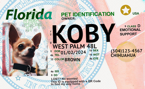 licenciasdeconducir koby florida template 2026.jpg